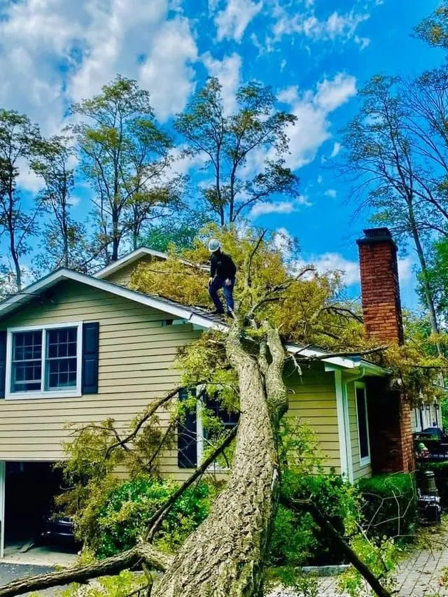 Expert yard maintenance in Bedford Hills, NY by Green Outdoors Tree Service