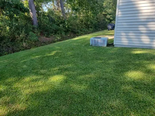 Green Owl Landscaping Logo