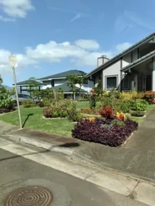 Trusted yard maintenance with custom design across Honolulu, HI - Green Pacific Landscape Construction and Design