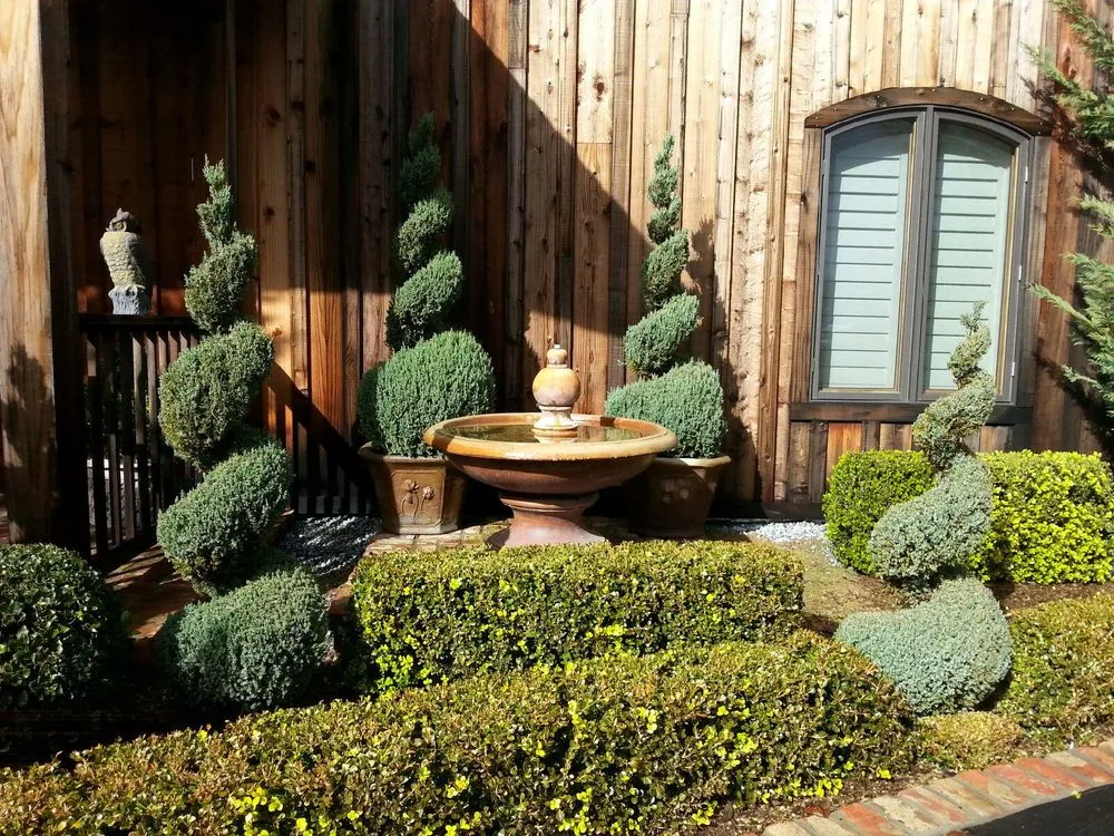 Local lawn care service for outdoor upgrades across Santa Cruz County, CA - Green Palm Landscape