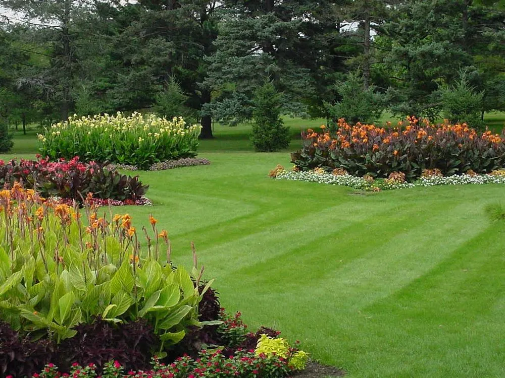 Trusted yard cleanup service for homes in Santa Cruz County, CA by Green Palm Landscape