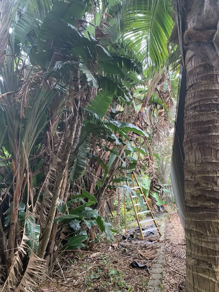 Affordable lawn mowing service in Vero Beach, FL by Green Palm lawn Service