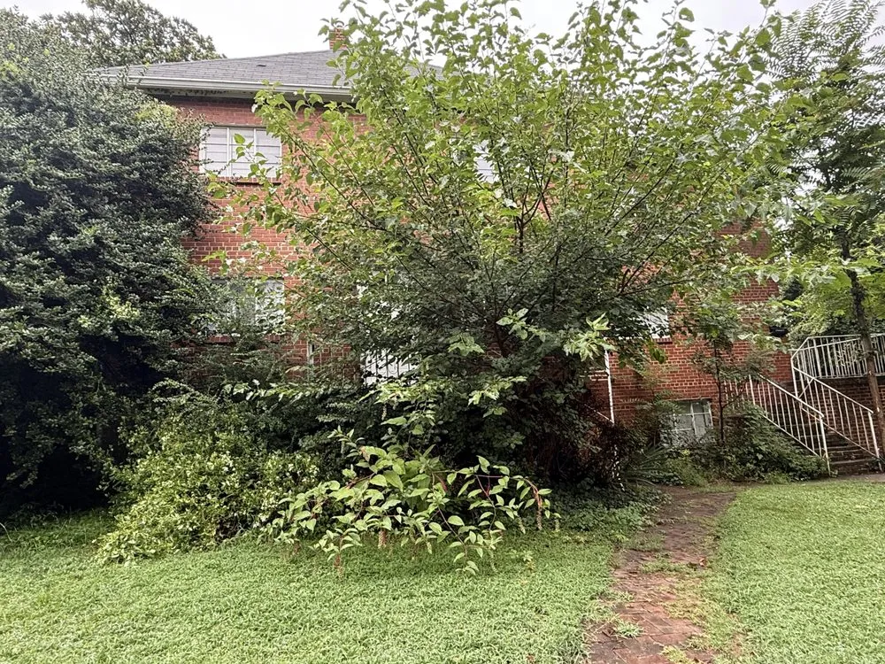 Affordable lawn mowing service for residential properties in Edgewater, MD by Green paradise