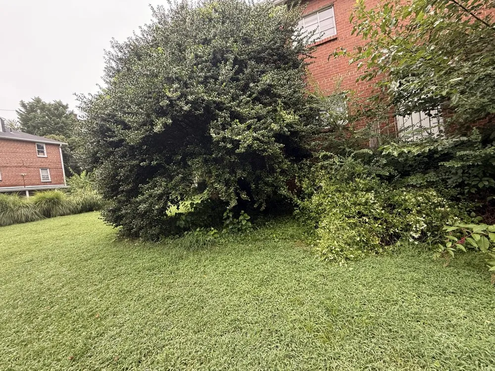 Reliable landscaping services for beautiful yards in Edgewater, MD by Green paradise