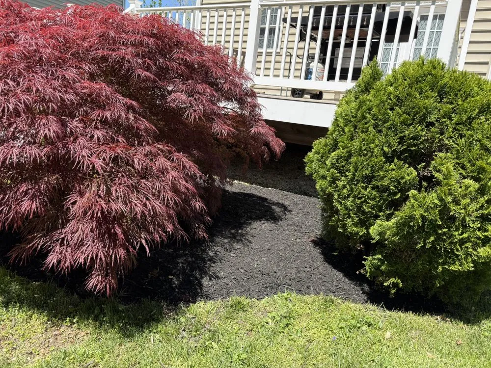 Reliable landscaping services for outdoor upgrades across Edgewater, MD - Green paradise