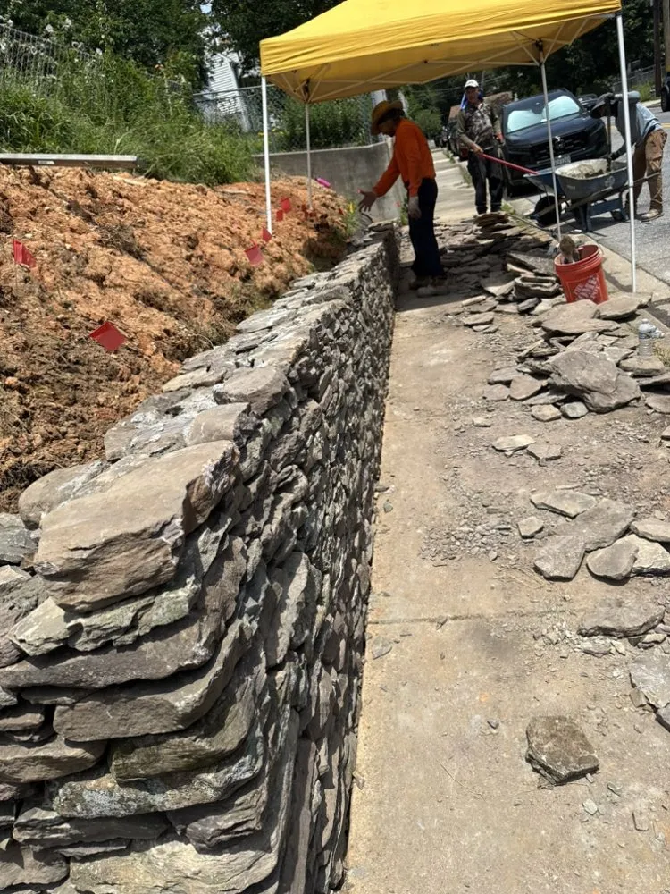 Trusted lawn mowing service with custom design across Edgewater, MD - Green paradise