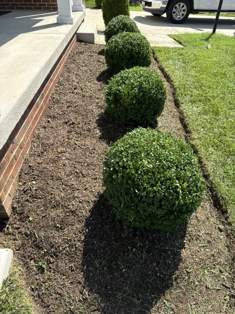 Professional landscaping services in Edgewater, MD - Green paradise