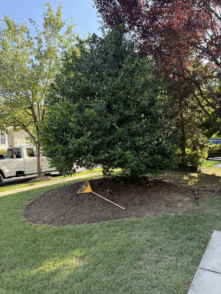 Professional garden landscaping for residential properties across Edgewater, MD - Green paradise