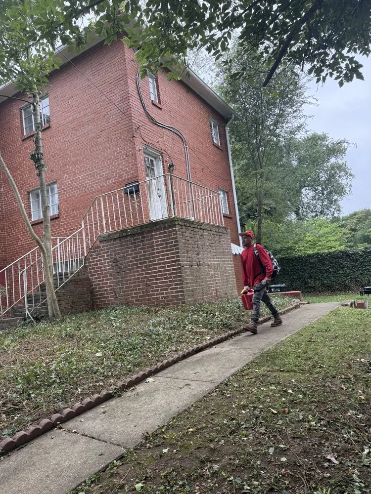 Affordable garden landscaping in Edgewater, MD by Green paradise