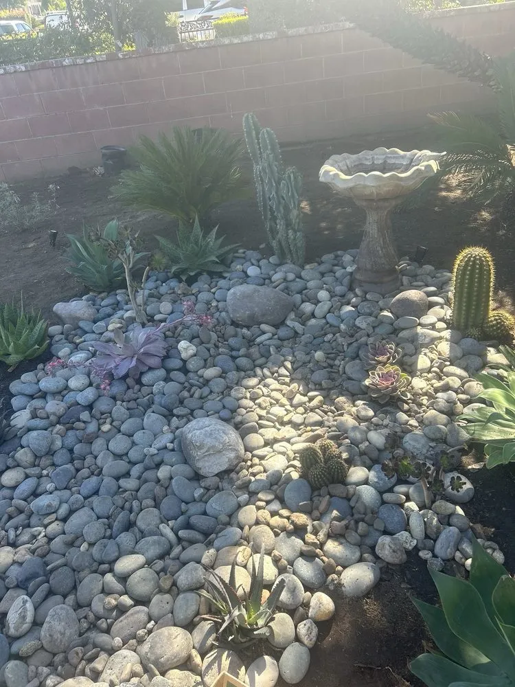 Expert yard cleanup service in Santee, CA by Green Paradise Landscape Inc