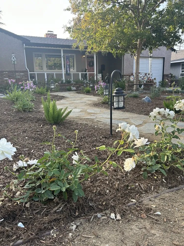 Professional yard cleanup service for beautiful yards across Santee, CA - Green Paradise Landscape Inc