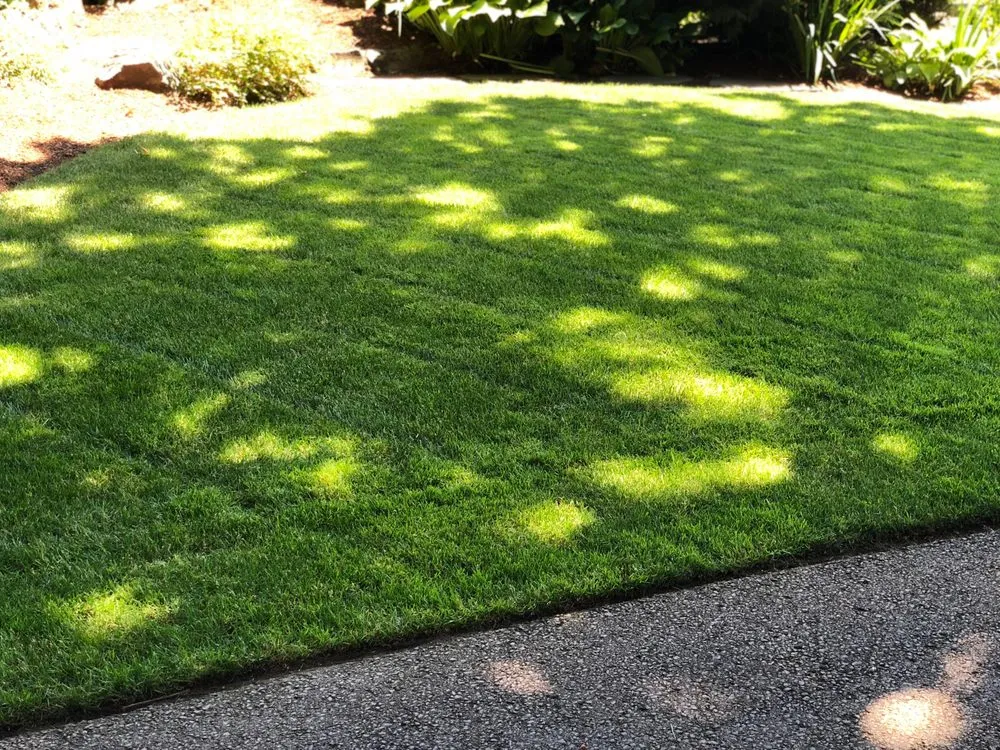 Affordable landscaping services in Newberg, OR by Green Paradise Landscaping