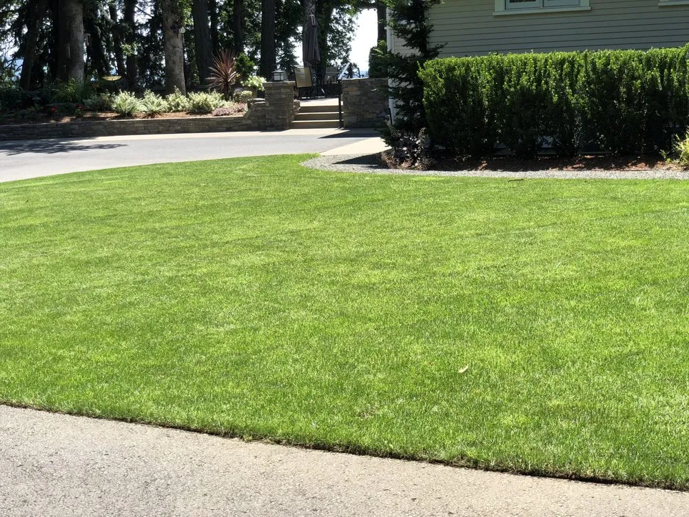Affordable landscaping services in Newberg, OR by Green Paradise Landscaping