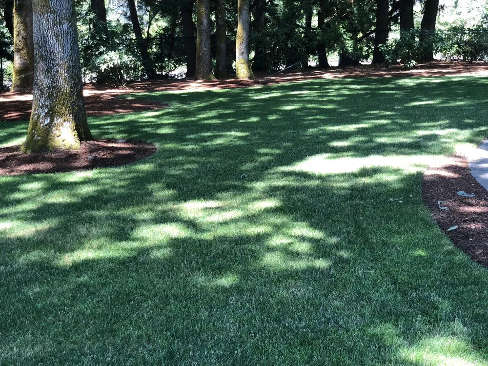 Expert yard maintenance in Newberg, OR by Green Paradise Landscaping