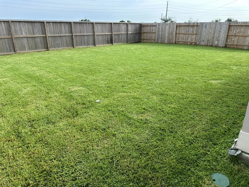 Custom yard cleanup service near you across Richmond, TX - Green Paradise Landscaping