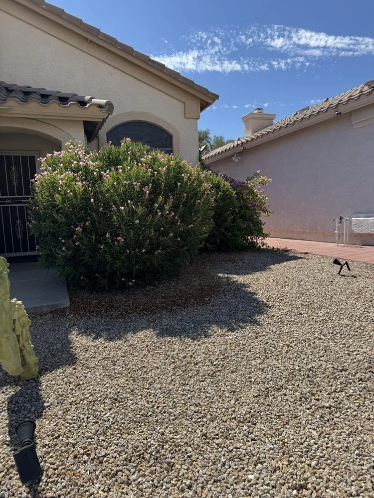 Expert yard cleanup service for residential properties across Phoenix, AZ - Green Paradise Landscaping Services