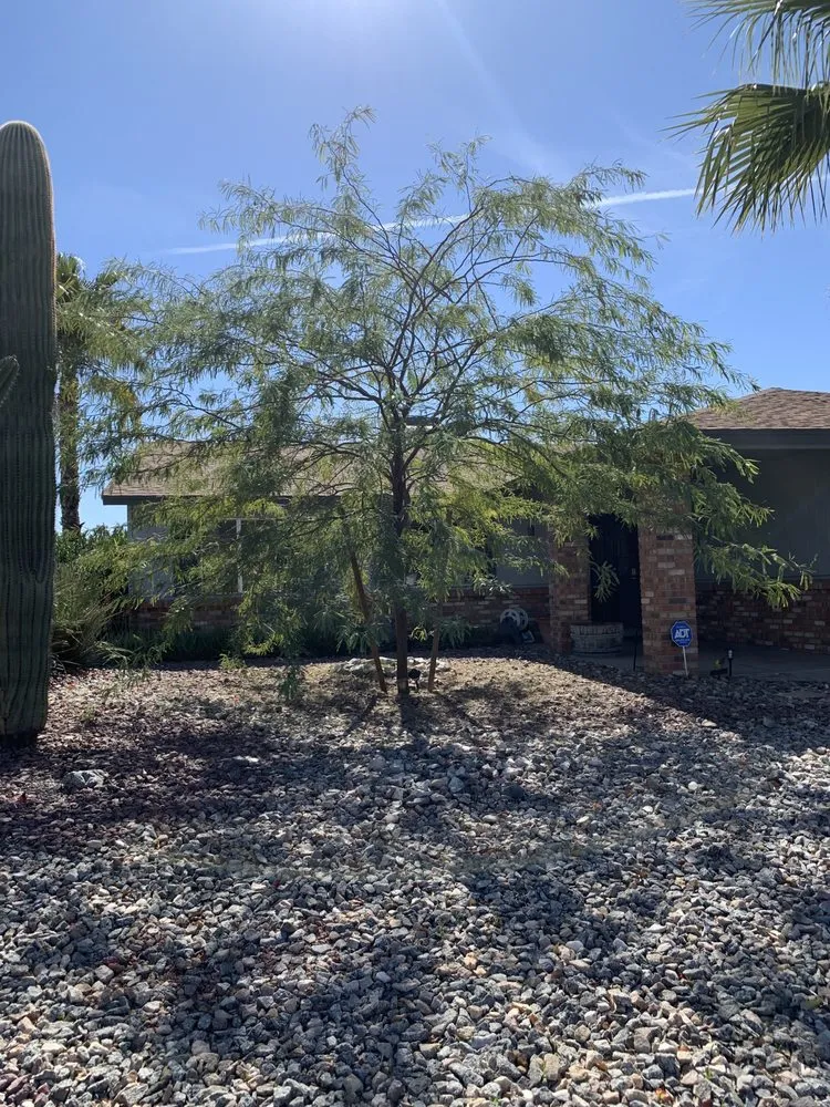 Expert outdoor landscaping for homes in Phoenix, AZ by Green Paradise Landscaping Services