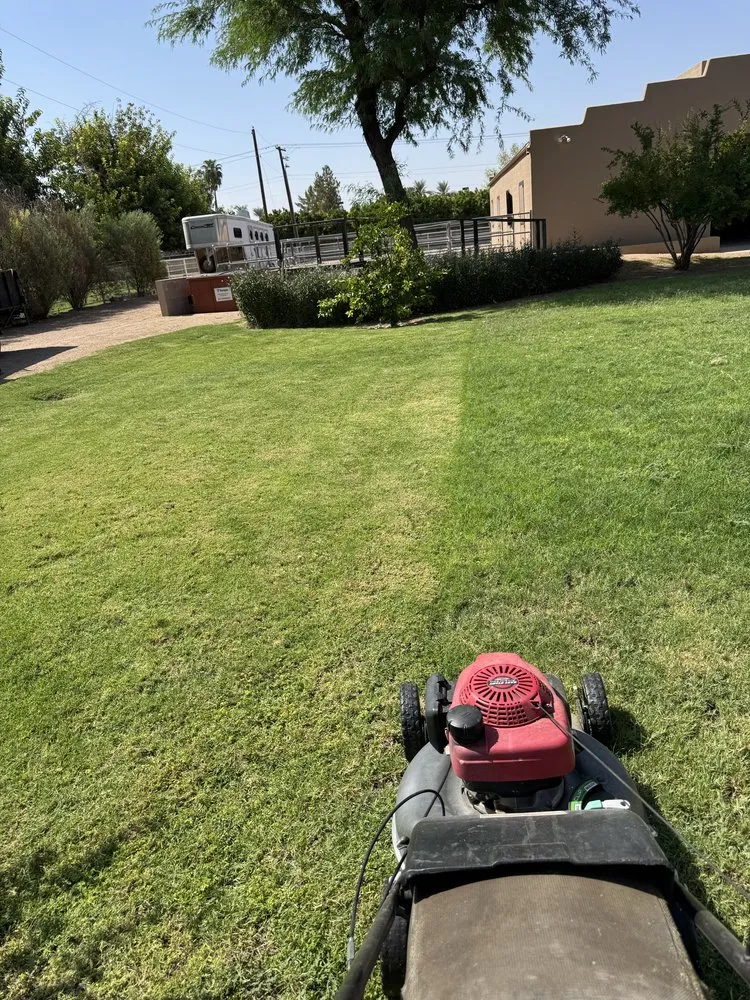 Affordable outdoor landscaping in Phoenix, AZ by Green Paradise Landscaping Services