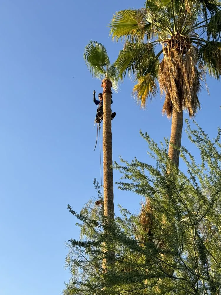 Professional residential landscaping for outdoor upgrades across Phoenix, AZ - Green Paradise Landscaping Services