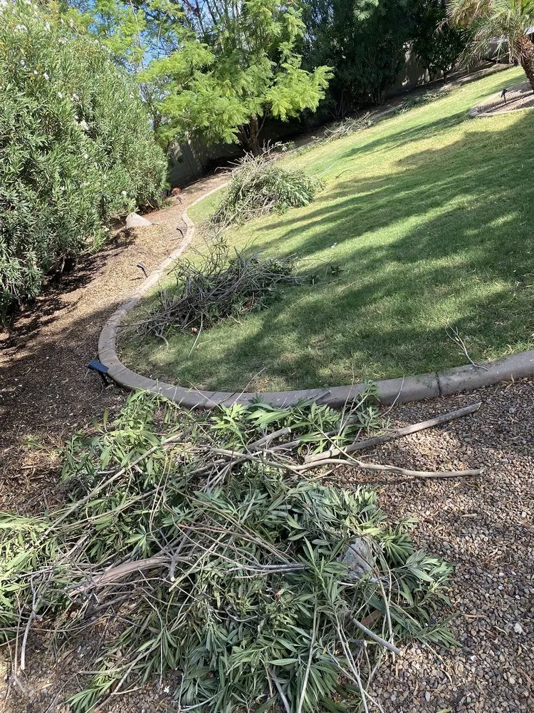 Trusted landscape installation in Phoenix, AZ - Green Paradise Landscaping Services