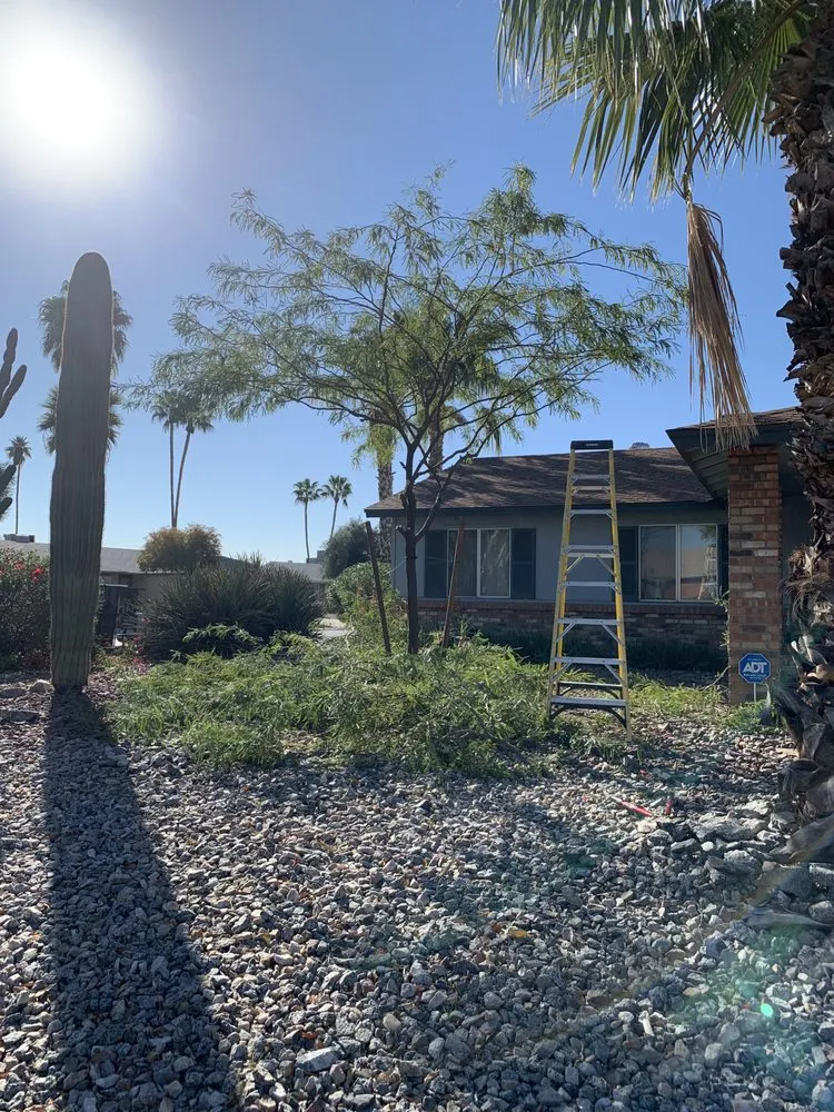 Affordable residential landscaping for outdoor upgrades in Phoenix, AZ by Green Paradise Landscaping Services