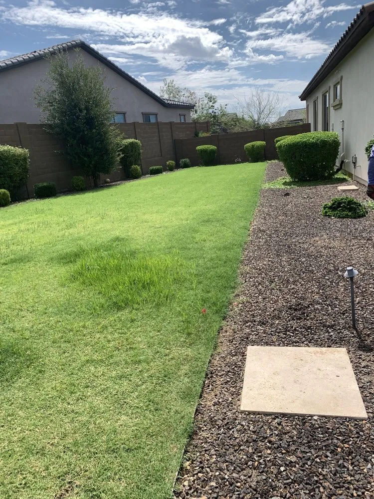 Reliable yard maintenance in Phoenix, AZ by Green Paradise Landscaping Services