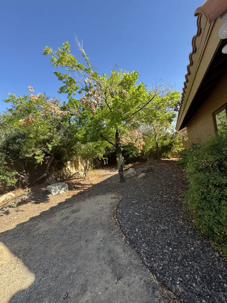 Affordable outdoor landscaping in Phoenix, AZ - Green Paradise Landscaping Services