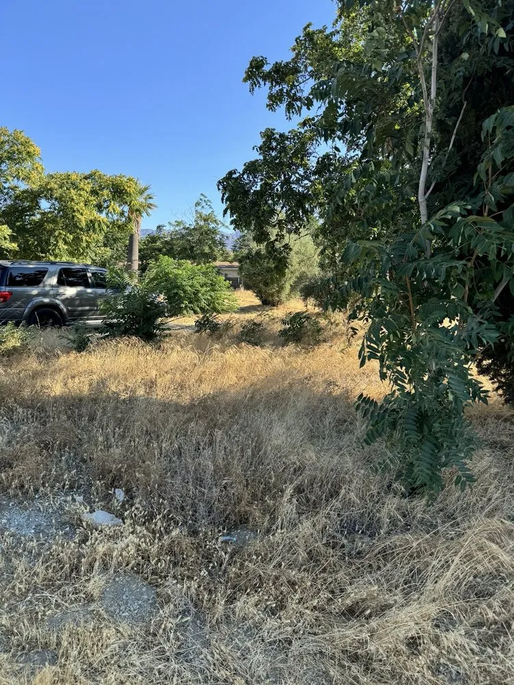 Reliable residential landscaping for beautiful yards across Yucaipa, CA - Green Paronamic Lawn Services & Landscaping