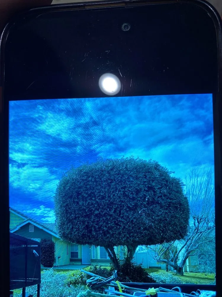 Custom outdoor landscaping in Yucaipa, CA - Green Paronamic Lawn Services & Landscaping