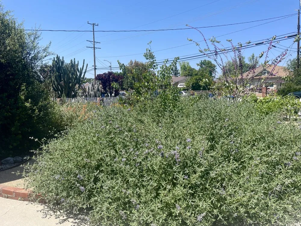Reliable garden landscaping in Sylmar, CA - Green Passion Landscape & Hardscape