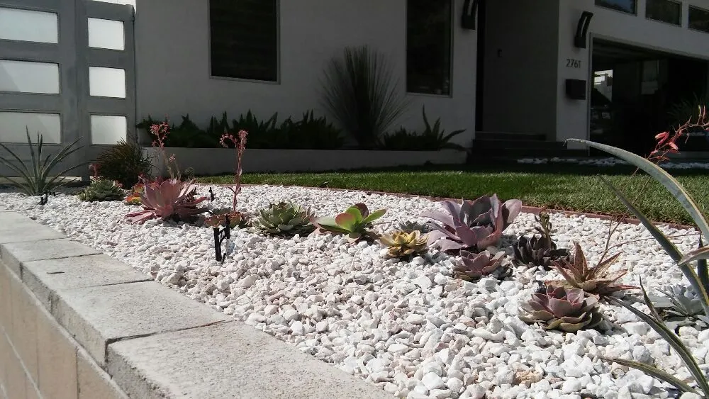 Reliable landscaping services with custom design across Sylmar, CA - Green Passion Landscape & Hardscape
