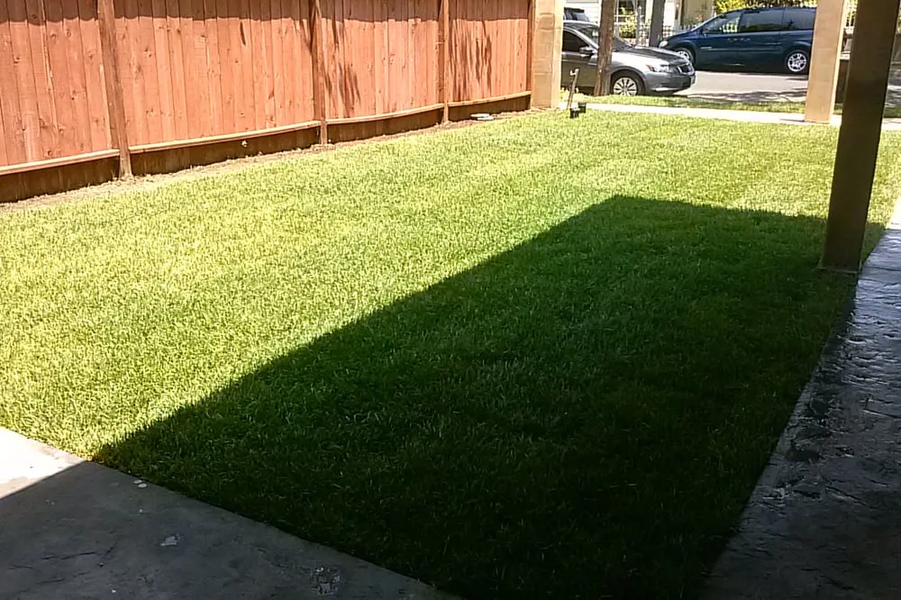 Top-rated lawn care service for beautiful yards across Sylmar, CA - Green Passion Landscape & Hardscape