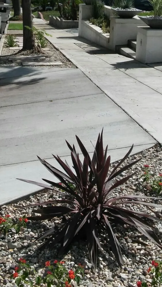 Professional landscape design for homes in Sylmar, CA by Green Passion Landscape & Hardscape
