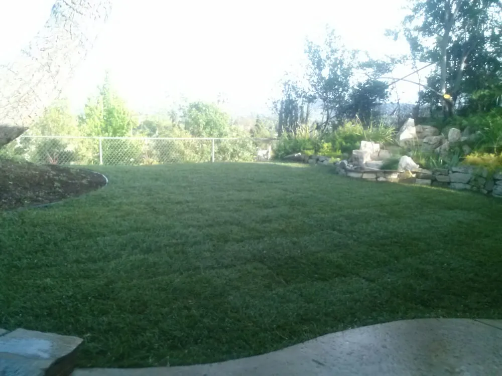 Professional yard maintenance for beautiful yards in Sylmar, CA by Green Passion Landscape & Hardscape
