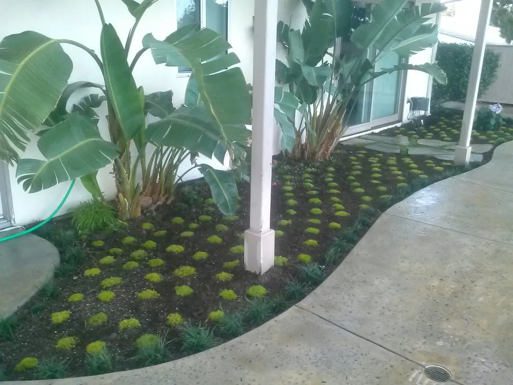 Reliable landscape installation in Sylmar, CA by Green Passion Landscape & Hardscape