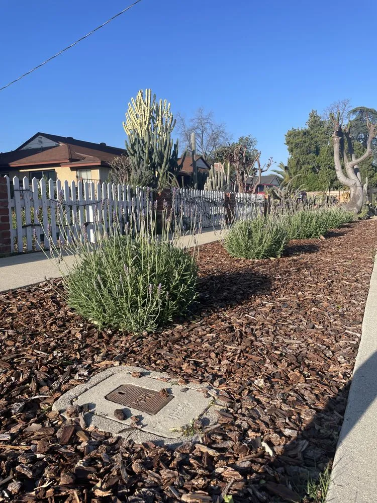 Custom landscape installation for year-round maintenance across Sylmar, CA - Green Passion Landscape & Hardscape
