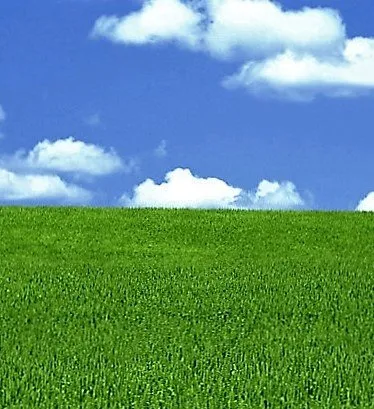 Professional landscape design experts serving Chelsea, MI - Green Pastures