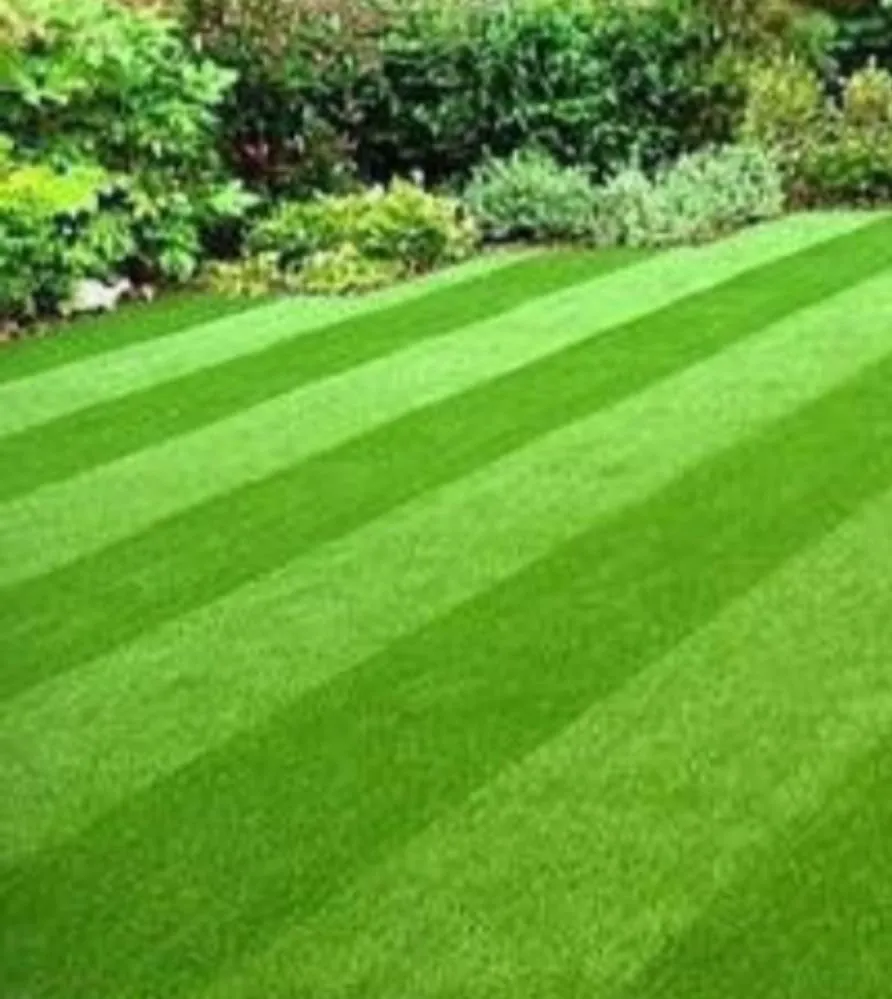 Custom lawn care service in Chelsea, MI by Green Pastures