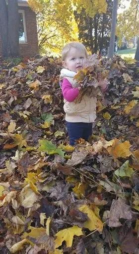 Reliable residential landscaping for residential properties across Chelsea, MI - Green Pastures