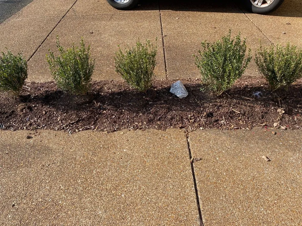 Custom yard cleanup service in Nashville, TN by Green Pastures Landscaping