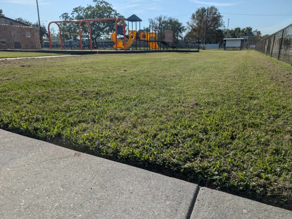 Professional yard cleanup service with custom design across Texas City, TX - Green Pastures Lawn Care