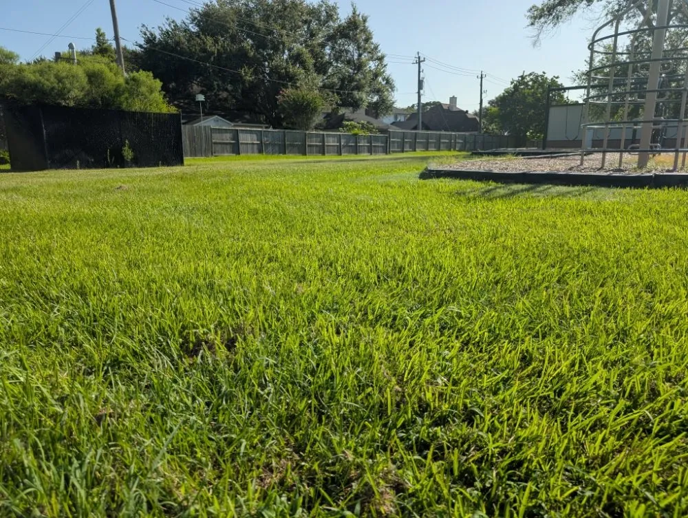 Professional landscaping services near you across Texas City, TX - Green Pastures Lawn Care