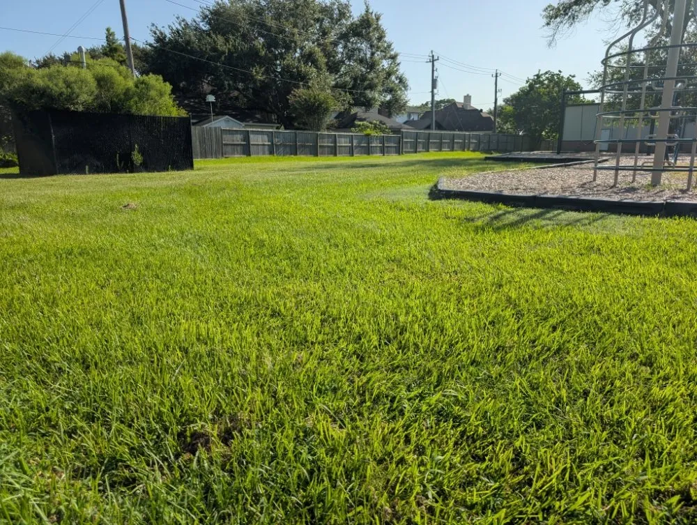 Trusted landscaping services experts serving Texas City, TX - Green Pastures Lawn Care