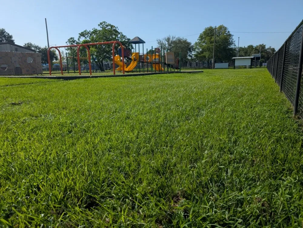 Custom yard cleanup service experts serving Texas City, TX - Green Pastures Lawn Care