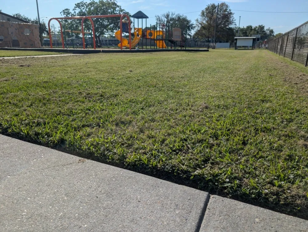 Reliable lawn mowing service for outdoor upgrades in Texas City, TX by Green Pastures Lawn Care
