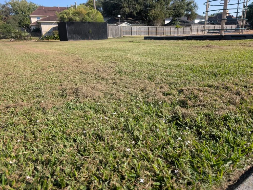 Trusted residential landscaping for year-round maintenance across Texas City, TX - Green Pastures Lawn Care