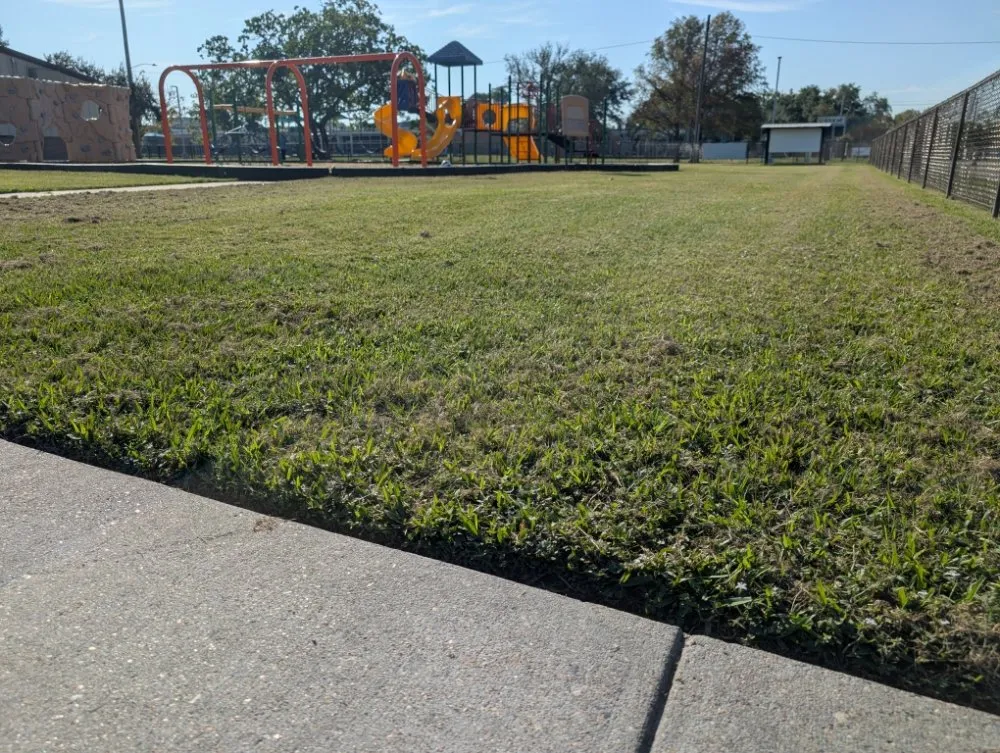 Professional landscape design for beautiful yards in Texas City, TX by Green Pastures Lawn Care