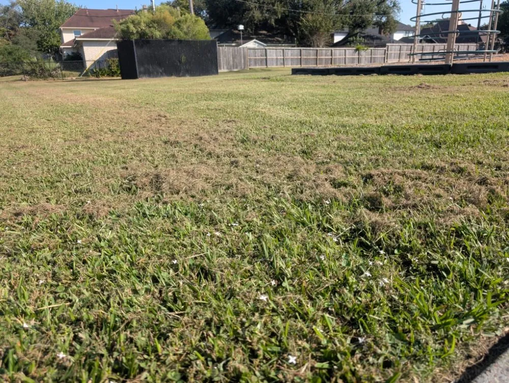 Affordable landscape installation experts serving Texas City, TX - Green Pastures Lawn Care