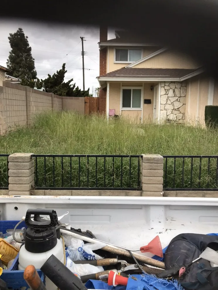 Professional outdoor landscaping with custom design across Long Beach, CA - Green Pastures Sprinkler Systems