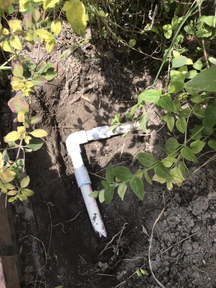 Expert landscaping services in Long Beach, CA by Green Pastures Sprinkler Systems